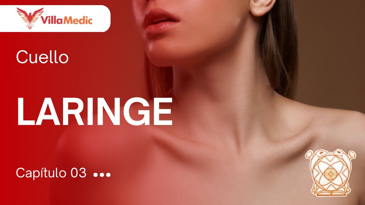 CC.BB. ANATO | Cuello: Laringe - VillaMedic