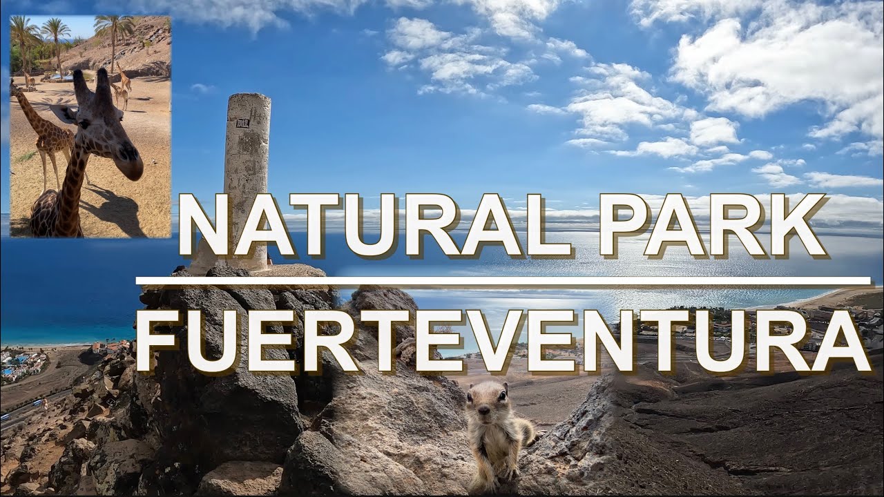 Fuerteventura II - Jand&iacute;a Natural Park - Oasis Wildlife - Beach - Canary Island - Volcano Island, 4K