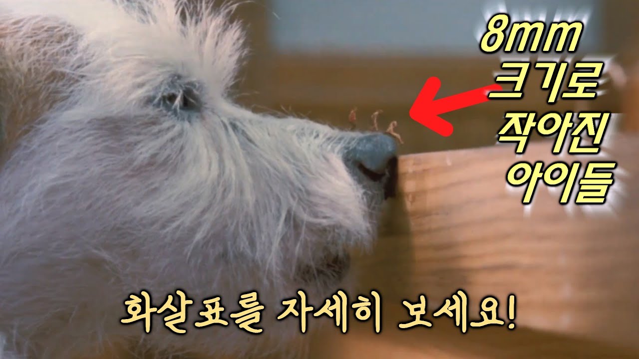 디즈니에서 만든 갓띵작 영화 모두의 추억 소환 [영화소개 영화리뷰]