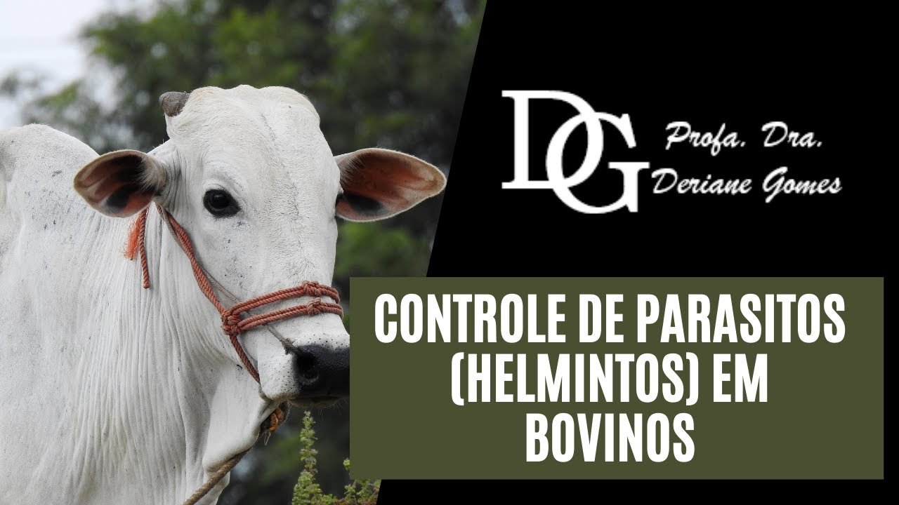 003. Controle de parasitos (helmintos) em bovinos