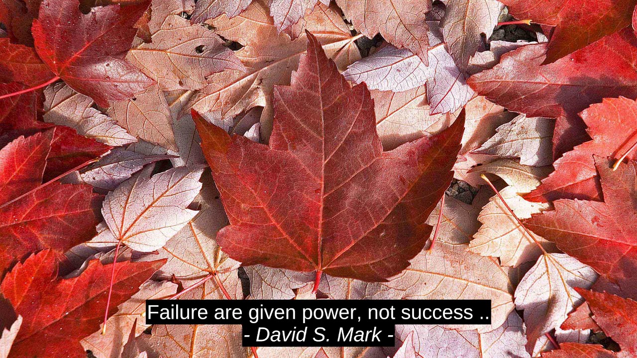 Mike Schmoker Motivation Quotes