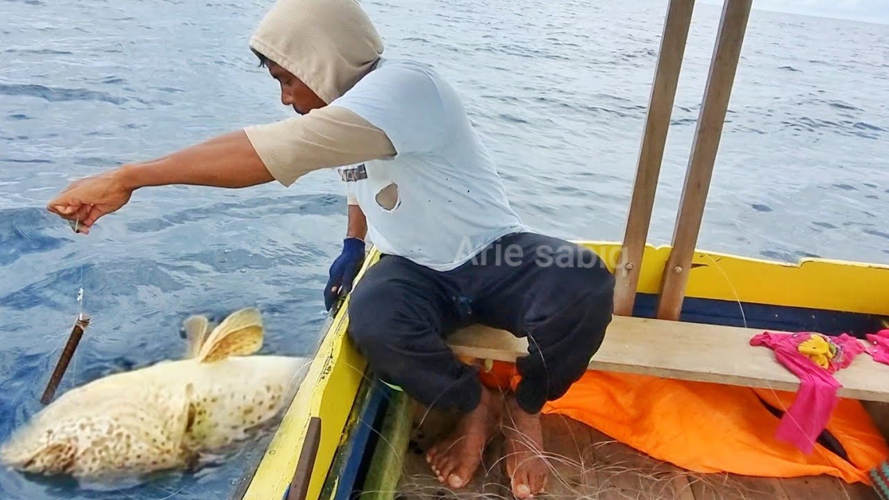 UMPAN HIDUP TURUN TIDAK PERNAH LOLOS, DARI SAMBARAN IKAN BESAR DISPOT INI