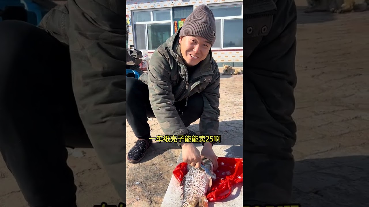 Title (英文): Firework Shell Finds: My Unique Post-Bang Adventure