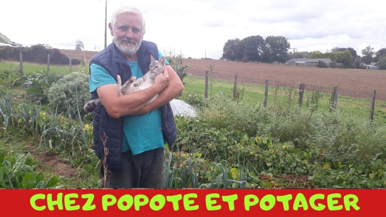 R&Eacute;COLTES et TRAVAUX AVANT L'AUTOMNE chez POPOTEetPOTAGER