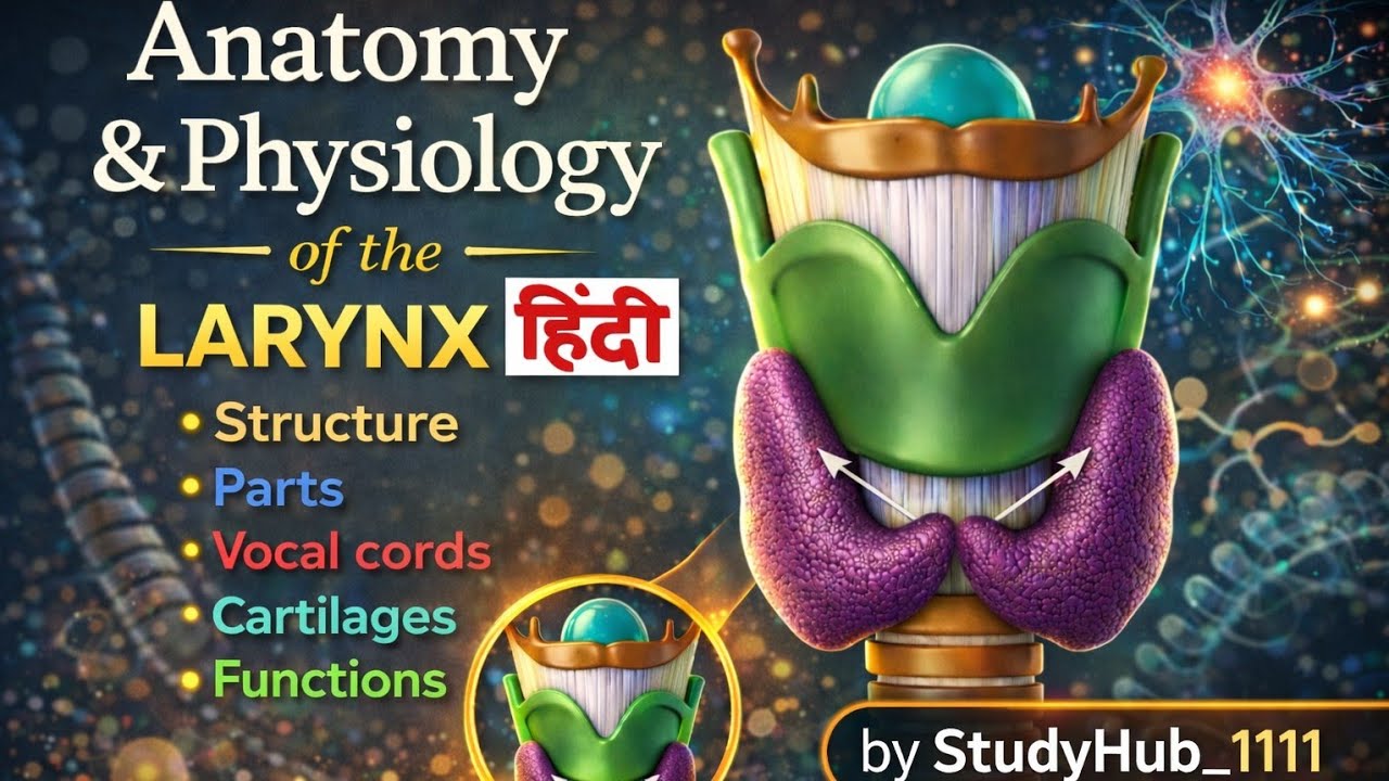 Larynx Anatomy & Physiology in Hindi | structure | Parts| Vocal cords |Cartilages | Functions 