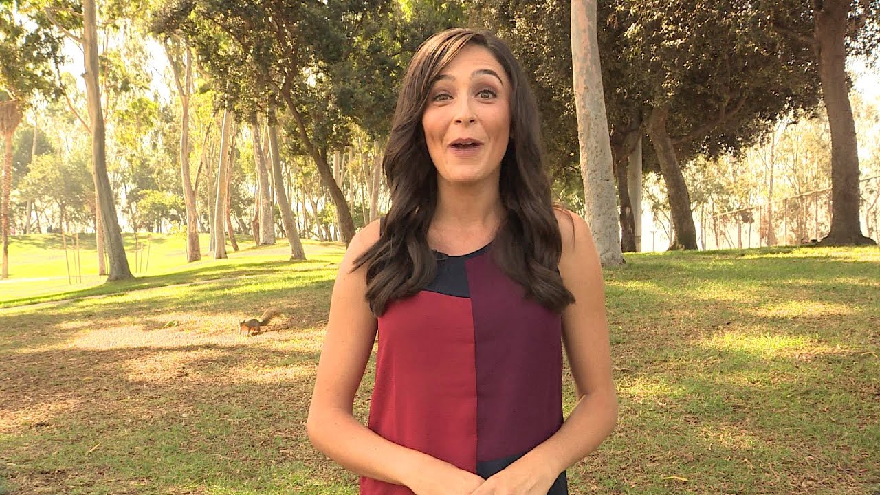 K9 Corner 09.15 HD - with Riannon Trutanich - Torrance CitiCABLE - September 2015