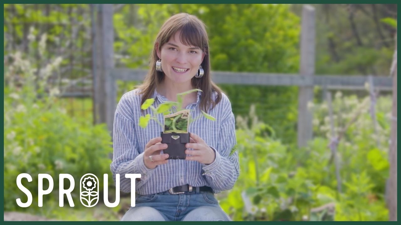 Genius Garden Hacks - Smarter Irrigation, Kid-Friendly Veggies, and Eco Decking