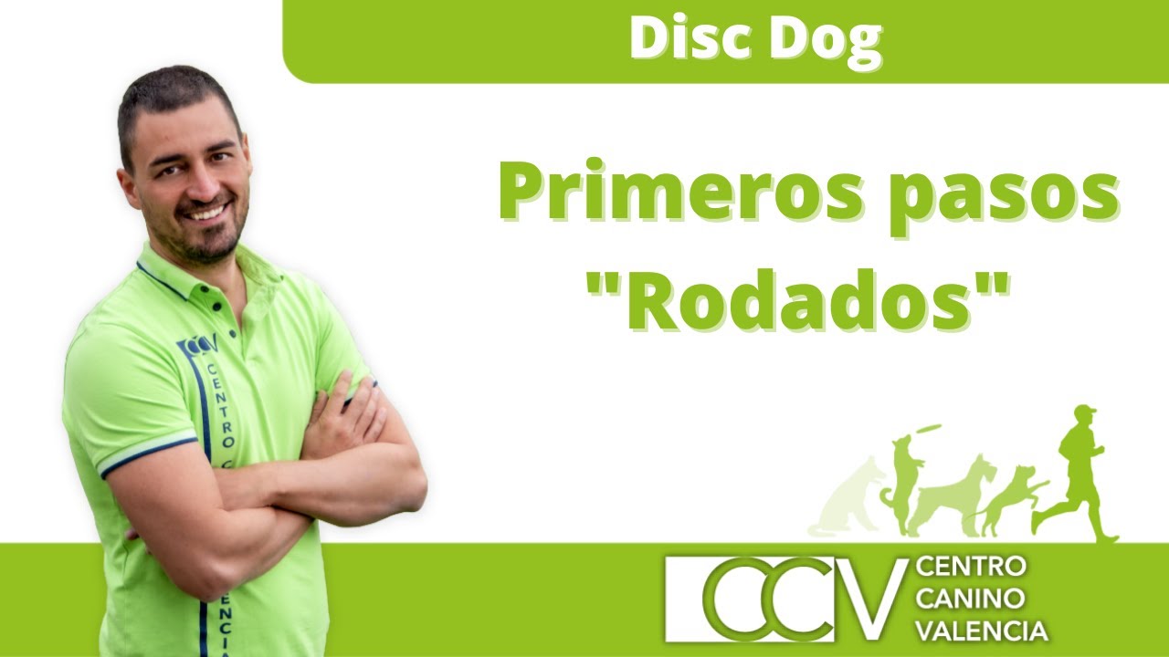 Disc Dog Tutorial, cómo enseñar disc dog desde 0, iniciación al disc dog