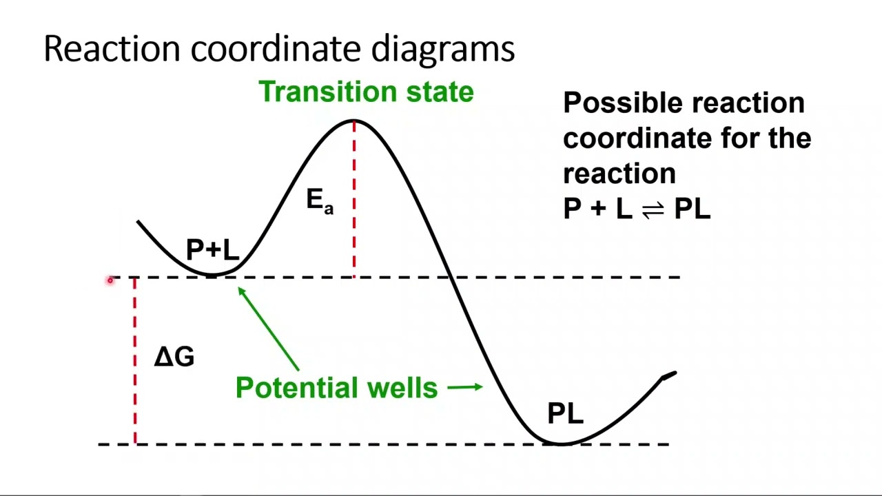 Topic 6.3A - Reaction coordinates