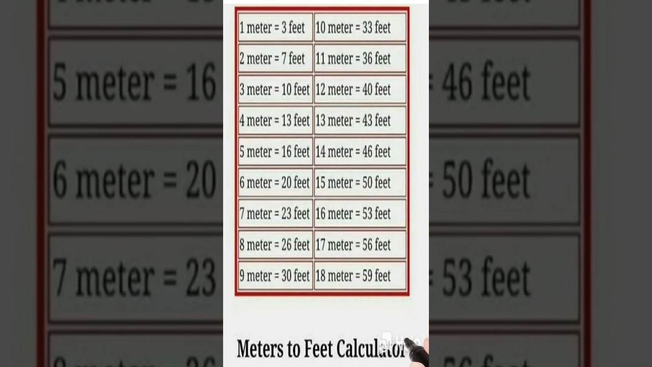 1 Meter Kitne Feet Hote Hain? | Meter to Feet Calculator 🔥 #shorts
