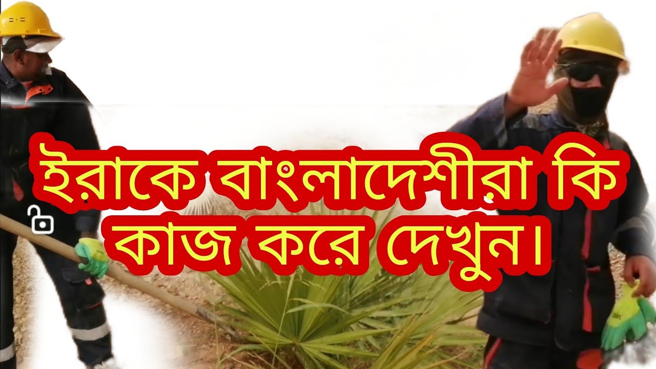 ইরাকে বাংলাদেশীরা কি কাজ করে দেখুন।