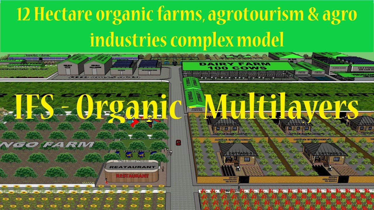 12 HECTARE ORGANIC FARMS AGROTOURISM & AGO INDUSTRIES COMPLEX MODEL #ifs #organicfarm #agrotourism
