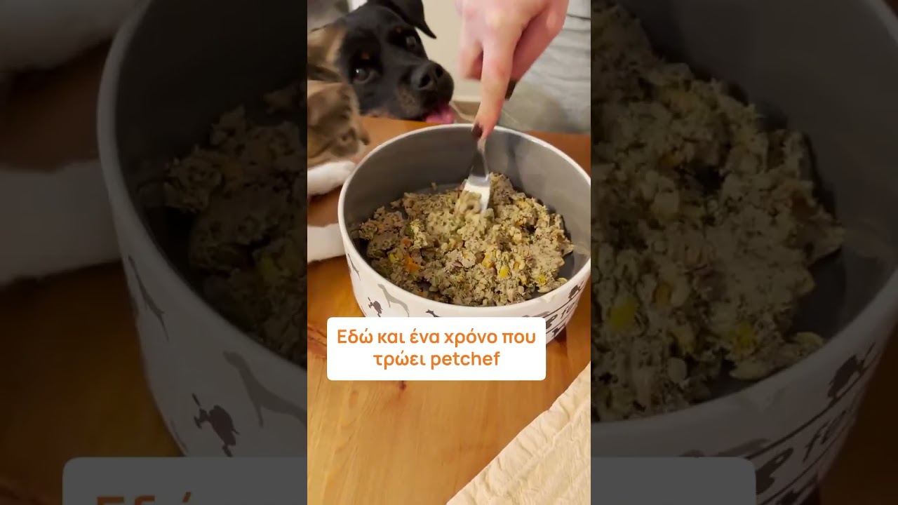 petchef Review &alpha;&pi;ό &tau;&eta; Naya😋