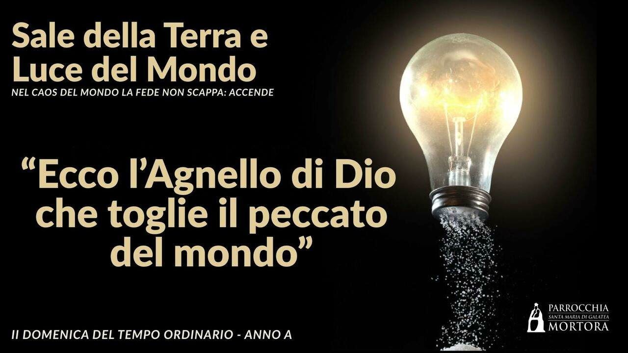 II Domenica TO (Anno A) | “Ecco l’Agnello di Dio”: cambia lo sguardo, cambia la vita (Sale&Luce #2)