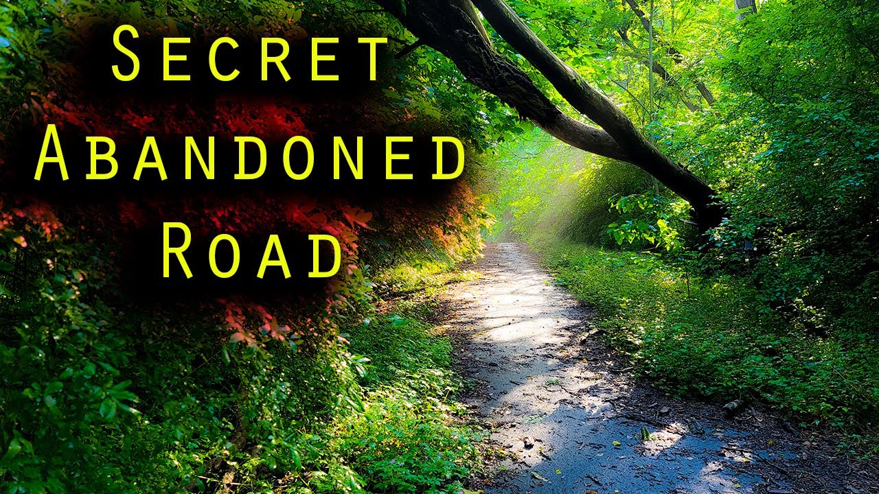 Abandoned Road to a Quarry and Cracker
