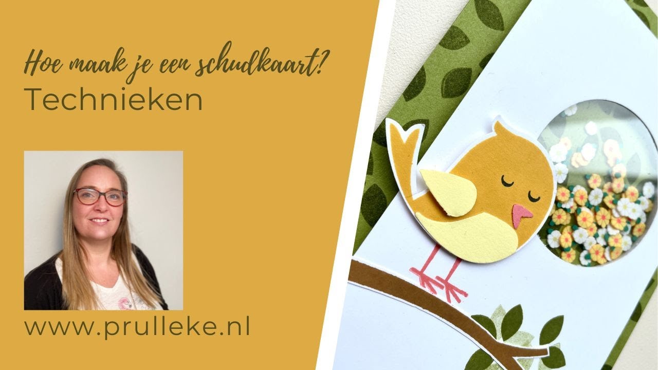 Hoe maak je een schudkaart? Technieken