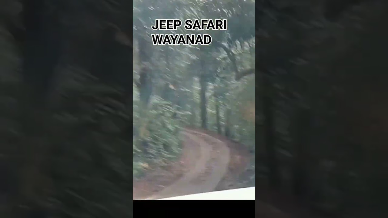JEEP SAFARI WAYANAD #rayyanvlogs #wayanadtour