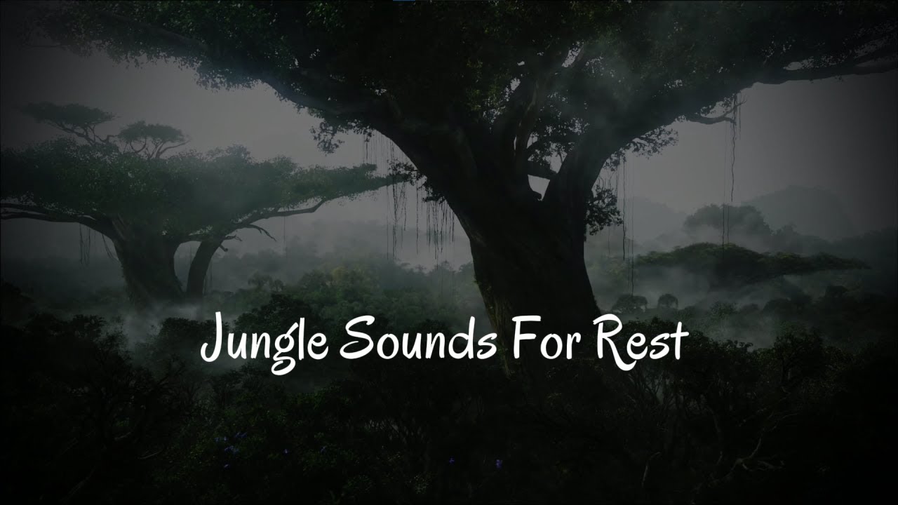 Deep Jungle Ambience 🌴 | 7 Hours of Natural Sounds for Rest & Sleep