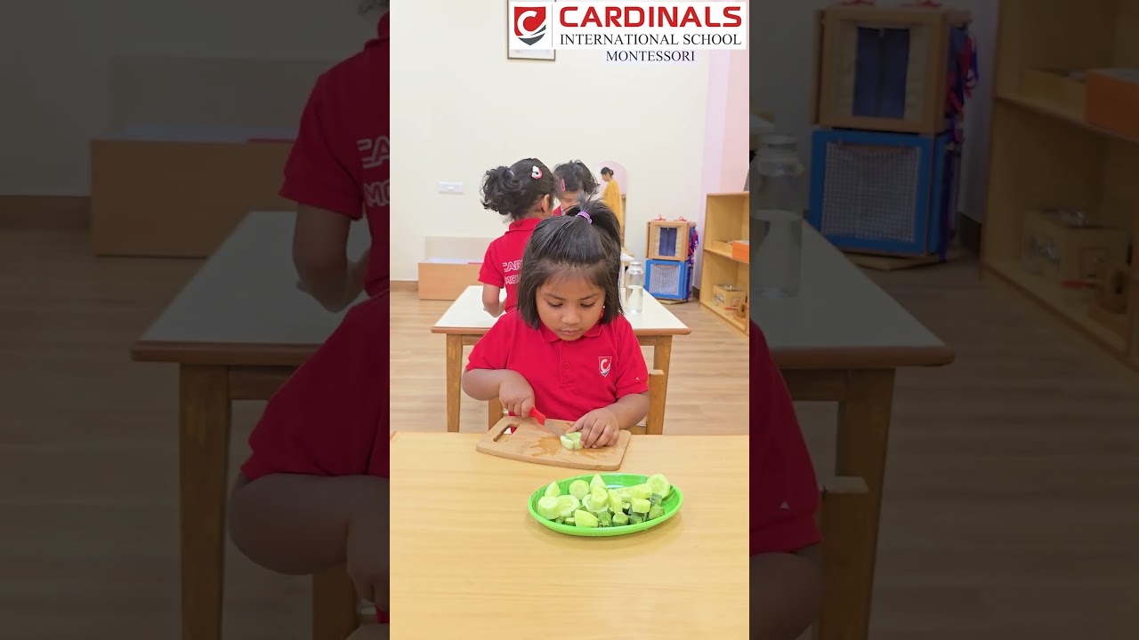 Montessori Practical Life builds skills, focus, and independence through real, hands-on activities