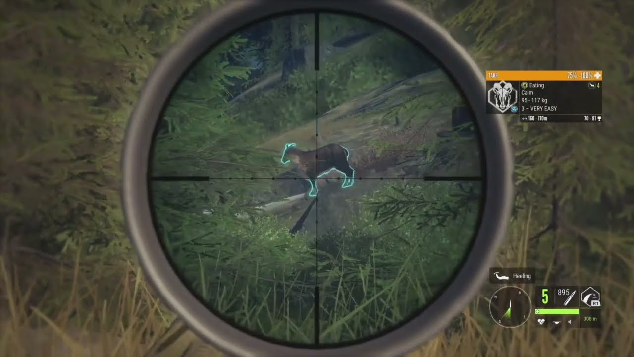 60 Minute Trophy Challenge - The Hunter Call Of The Wild #cotwgameplay #cotw