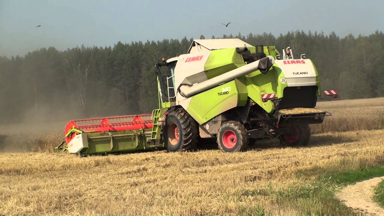 Жатва зерновых комбайнами CLAAS MEGA 350,TUCANO 340