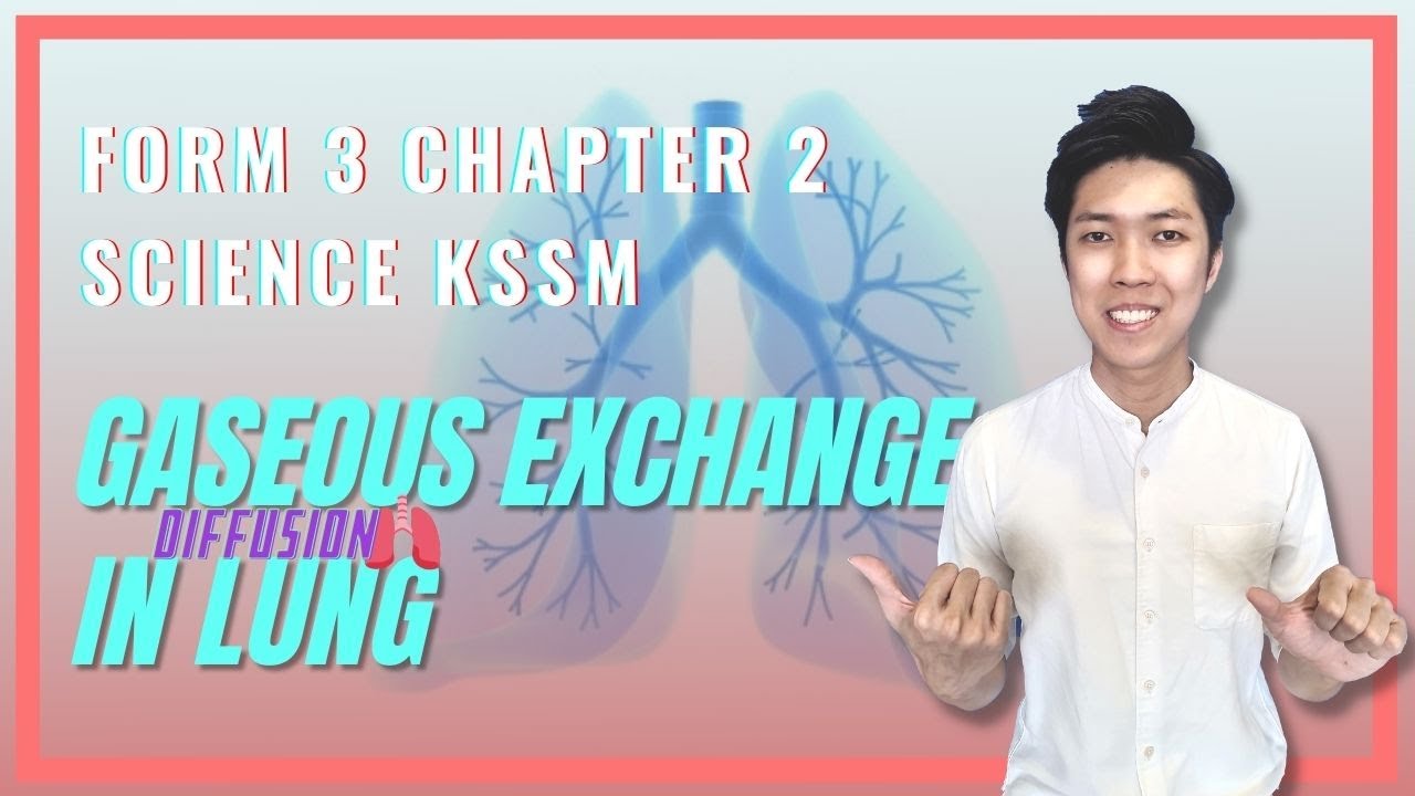 SCIENCE FORM 3 CHAPTER 2 KSSM || GASEOUS EXCHANGE IN LUNGS || I SPEAK ROJAK