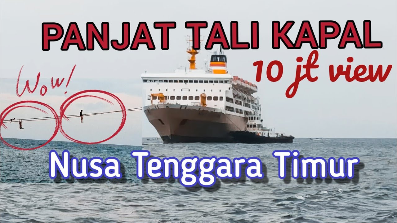 Suasana asli ketika kapal Pelni Sandar di Nusa Tenggara Timur | Pelabuhan MAUMERE