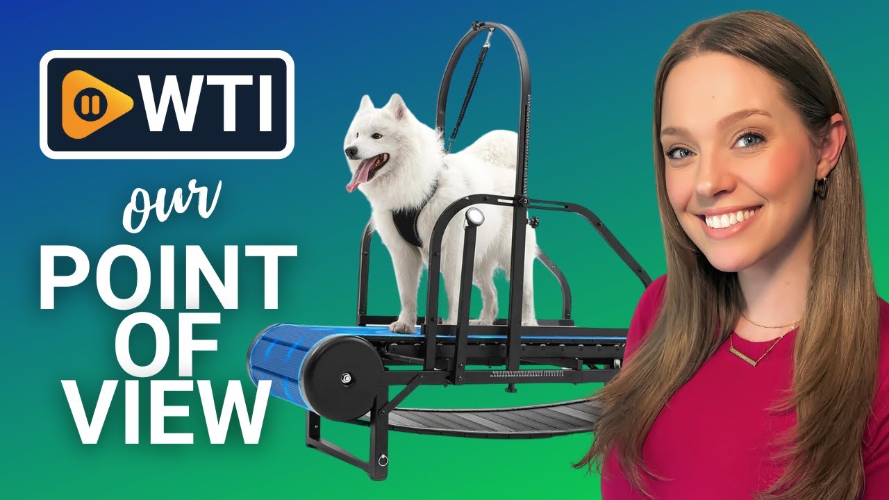 Moysoon Dog Treadmills | Our Point Of View