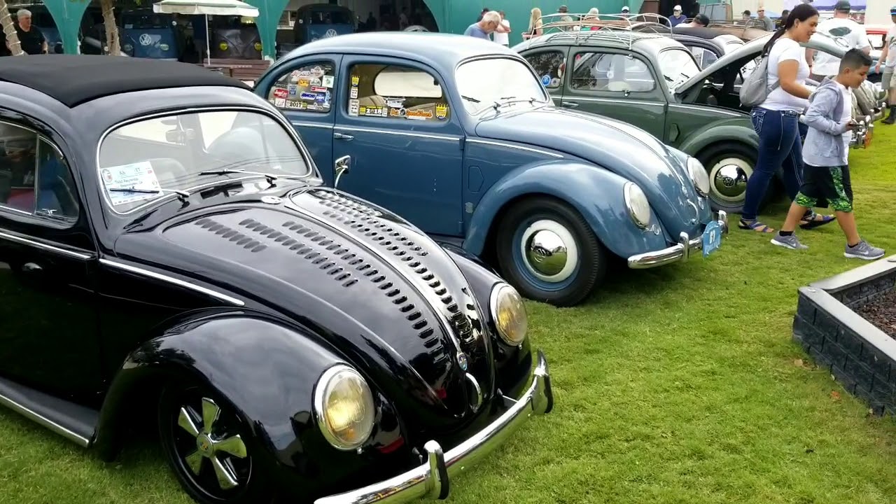 so cal vw treffen oval window bugs split window vw busses.small tail light vw bugs and vans