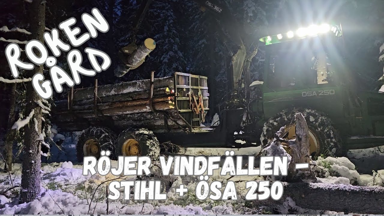 Roken Gård - Hugger vindfällen efter stormen