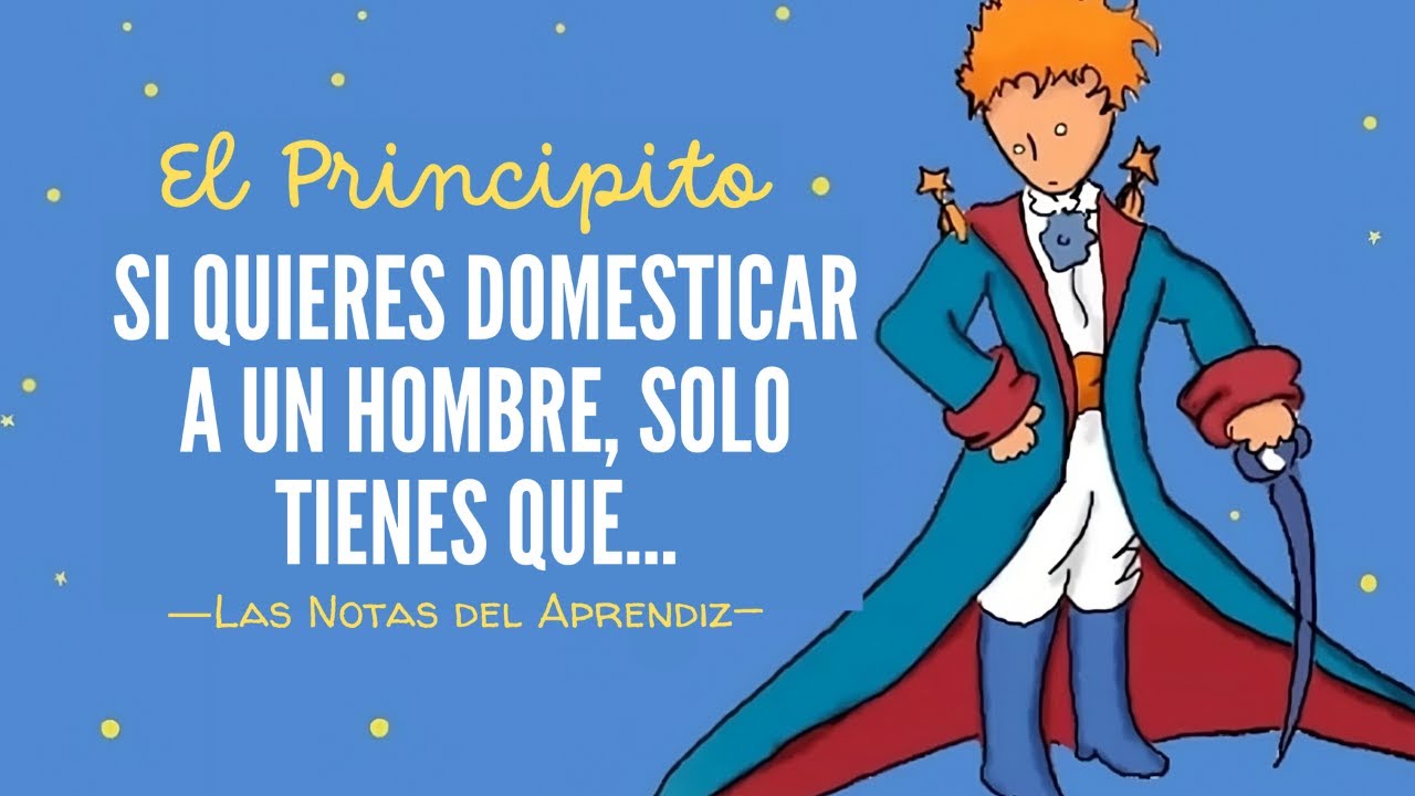 EL PRINCIPITO: Lecciones que los Hombres Aprenden Demasiado TARDE en la VIDA| Las Notas del Aprendiz