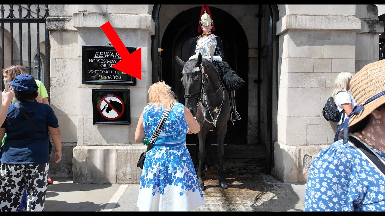 The guard shakes his head, but she’s still in the box, trying to touch the horse.