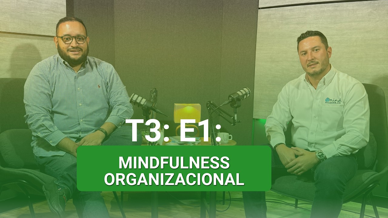 T3:E1: Mindfulness organizacional