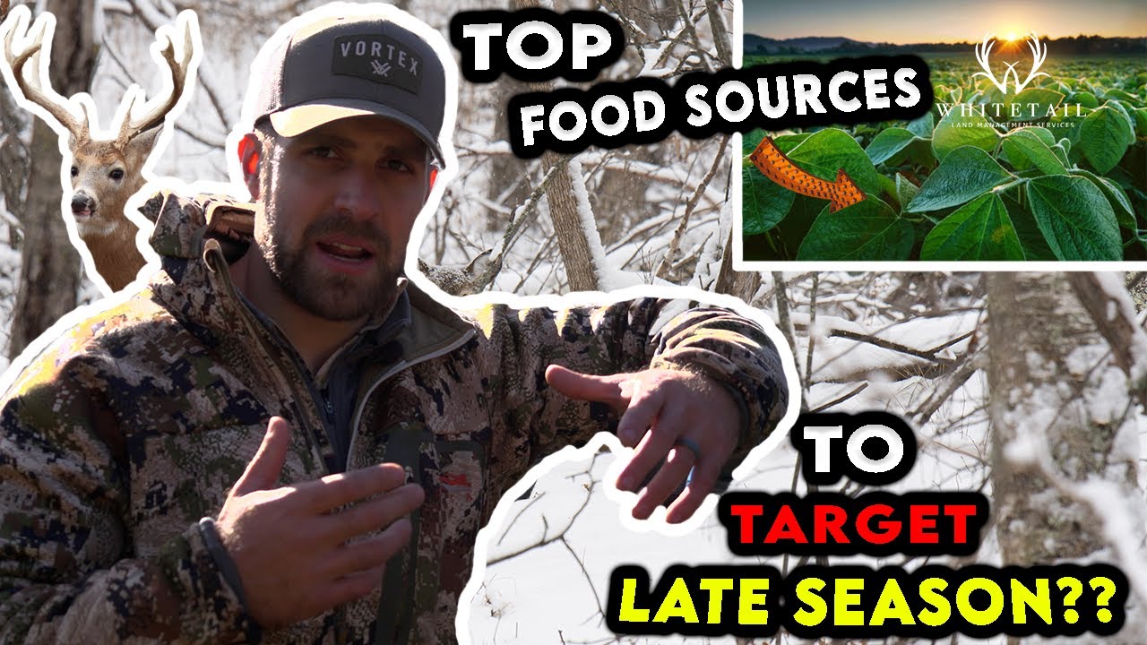 Top 5 Food Sources to Target LATE SEASON!!