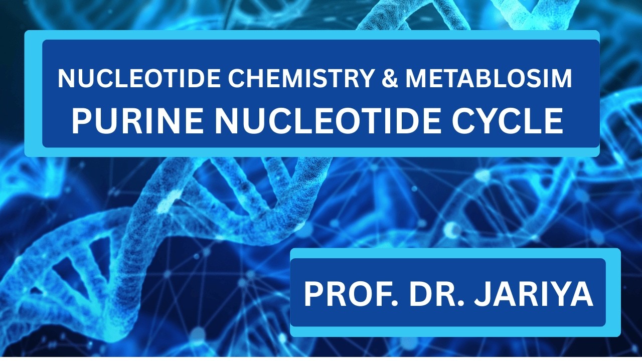 Why This Athlete Can Jog but Can’t Sprint | Purine Nucleotide Cycle Clinical Case