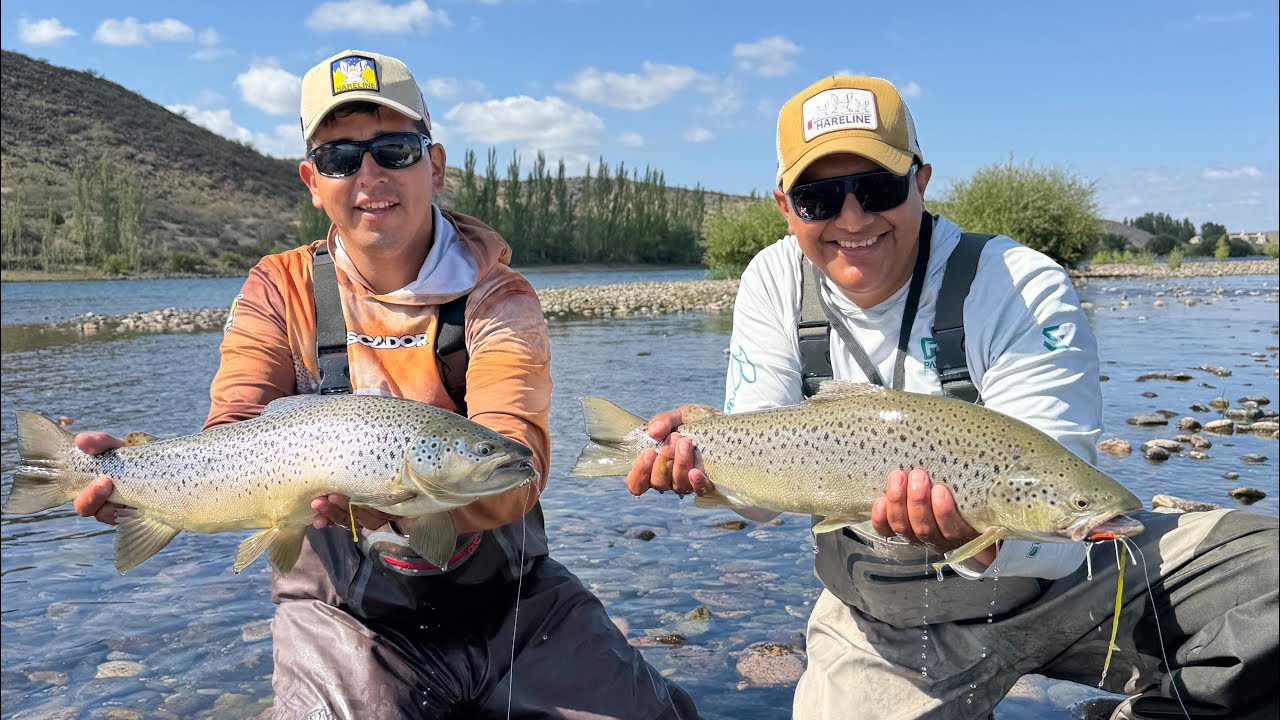 Pesca con mosca en limay medio, una pesca tremenda de marrones! 
