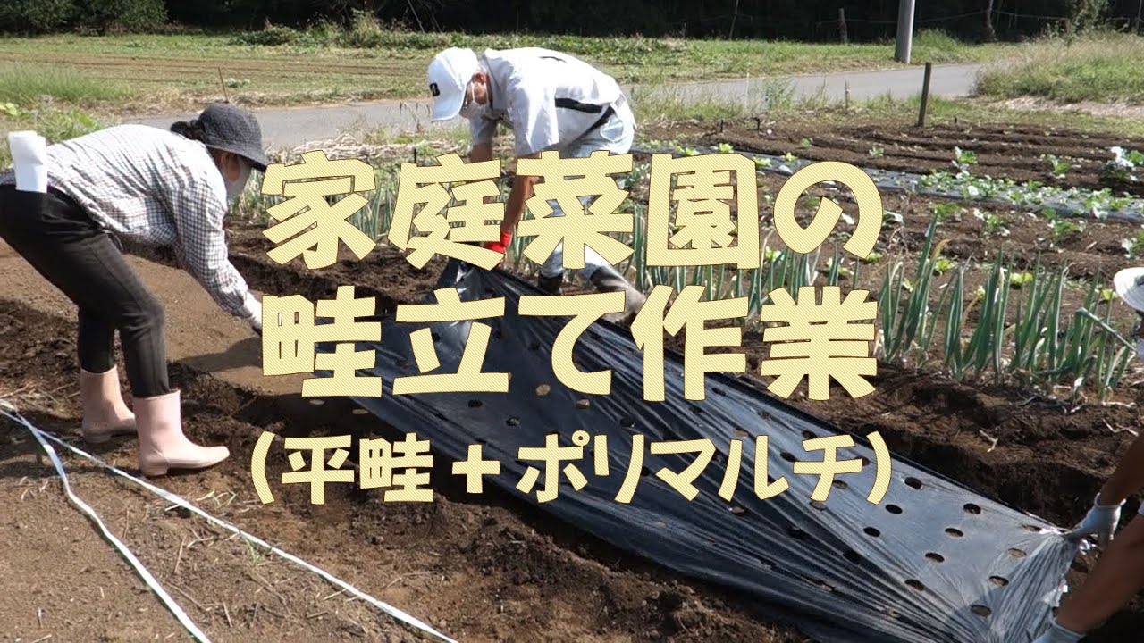 家庭菜園の畦立て作業（平畦＋ポリマルチ）