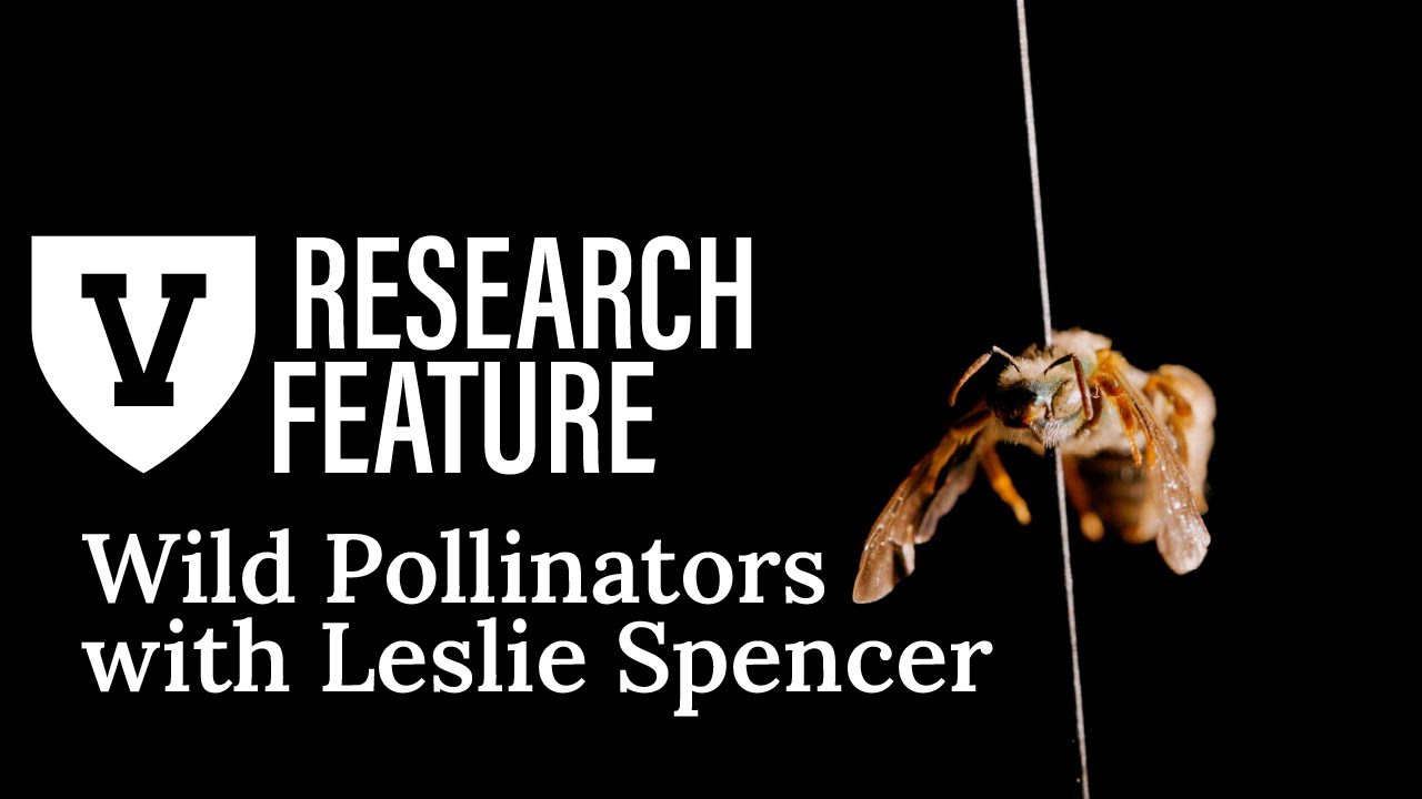 Graduate Research Feature: Leslie Spencer and Wild Pollinators