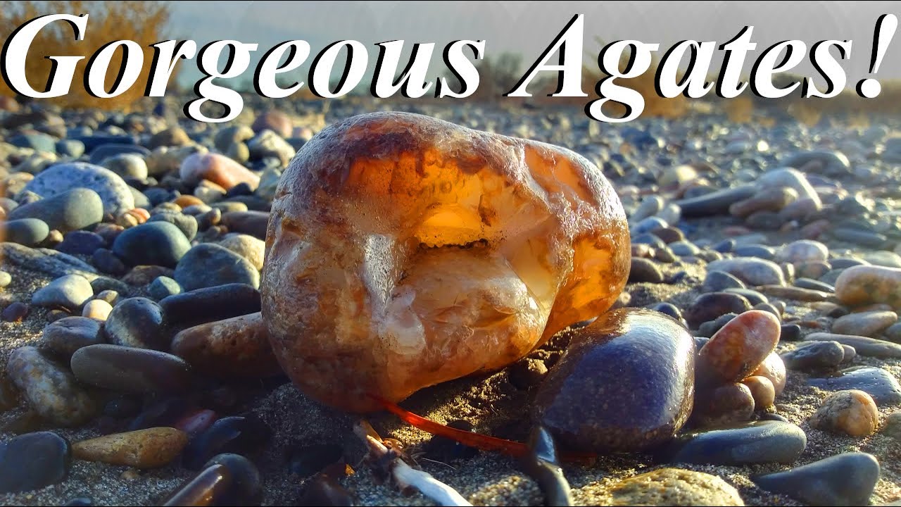 Fantastic Gravel Island! Searching a New Spot for AMAZING Agates, Agatized Wood, Jasper, & Fossils