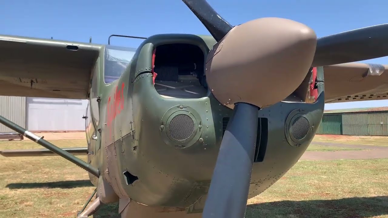 Various Visitors & Residents @ The Airfield