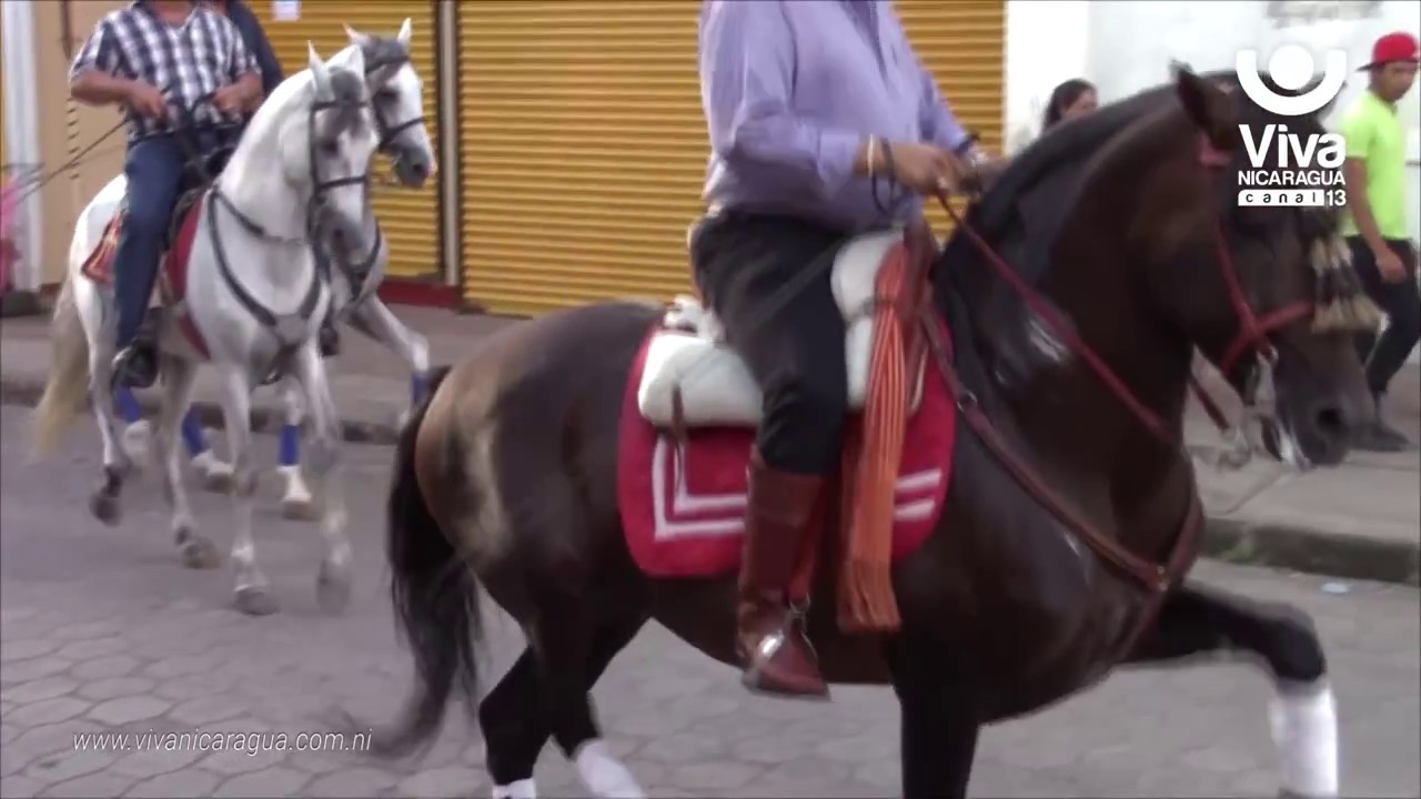 Buscamos a la Novia Hípica de Sébaco