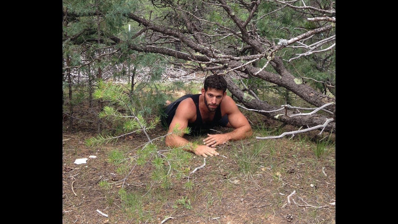 How to do the Push Pull Crawl