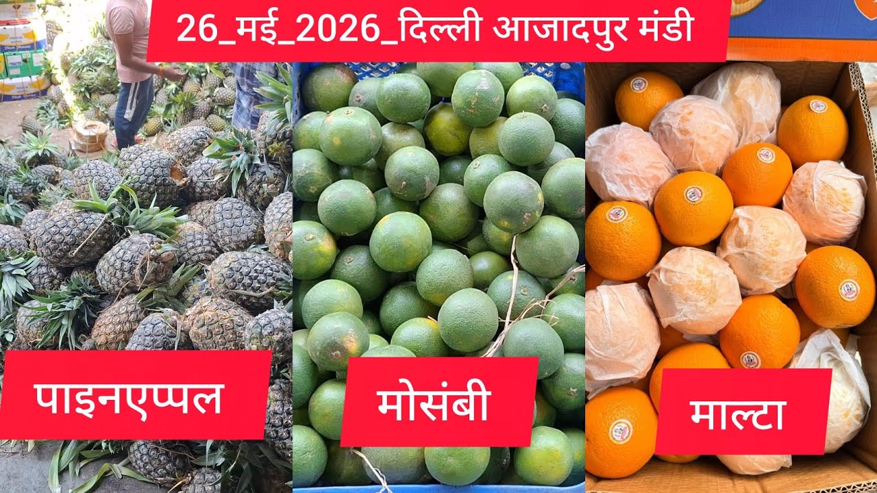 26 May 2026 दिल्ली फलों के भाव&nbsp;Delhi Fruit Market Price Today Azadpur Mandi  Aaj Ka Fruit Rate