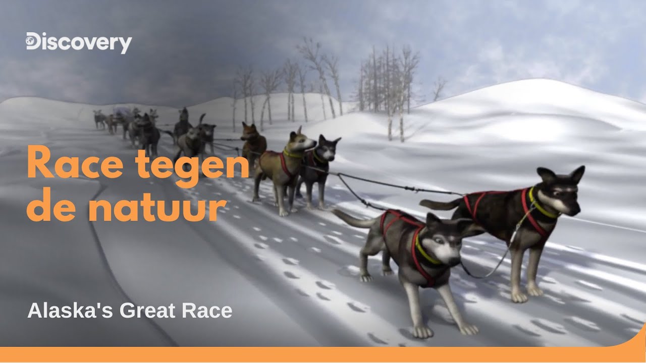 Zwaarste Hondenrace Ter Wereld: Iditarod Alaska | Alaska's Great Race