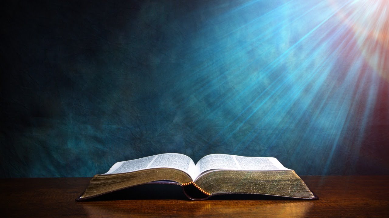 La Biblia: el libro por excelencia.
