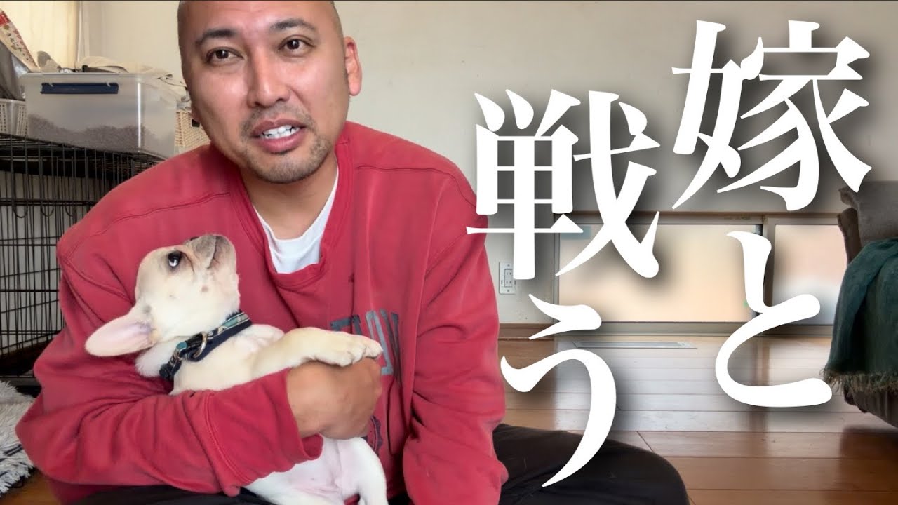 嫁と犬の親権を争って裁判することに…