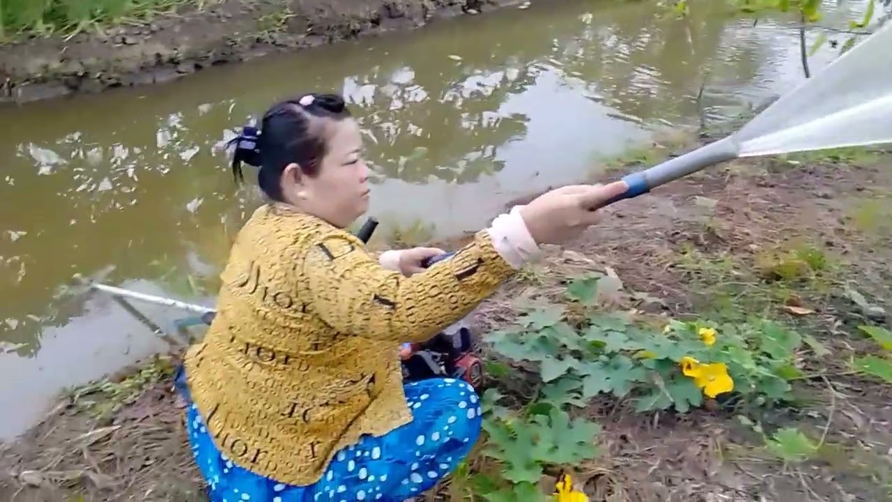 Ra vườn tưới nước bí