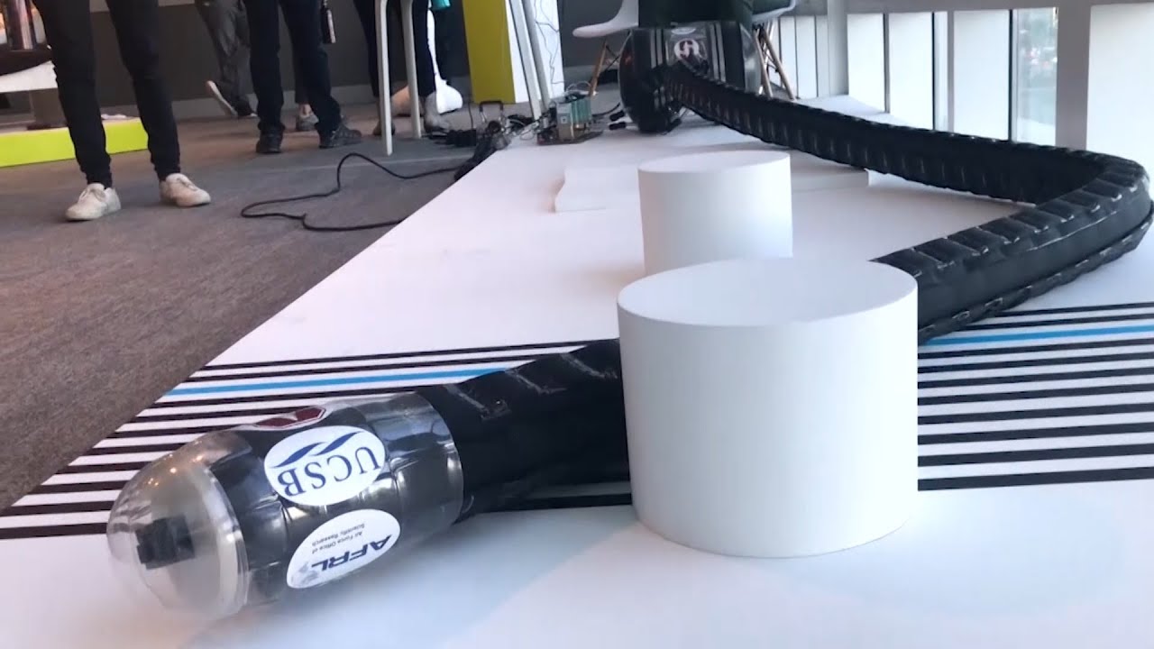 Growing Robots That Can be Used for Search and Rescue | Innovation Nation