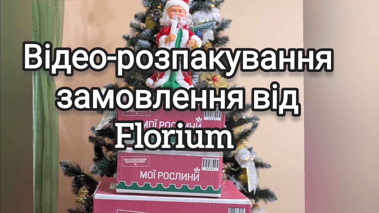 Моя різдвяна покупка із Florium (відеоогляд). Запрошую до перегляду 🌻🌻🌻