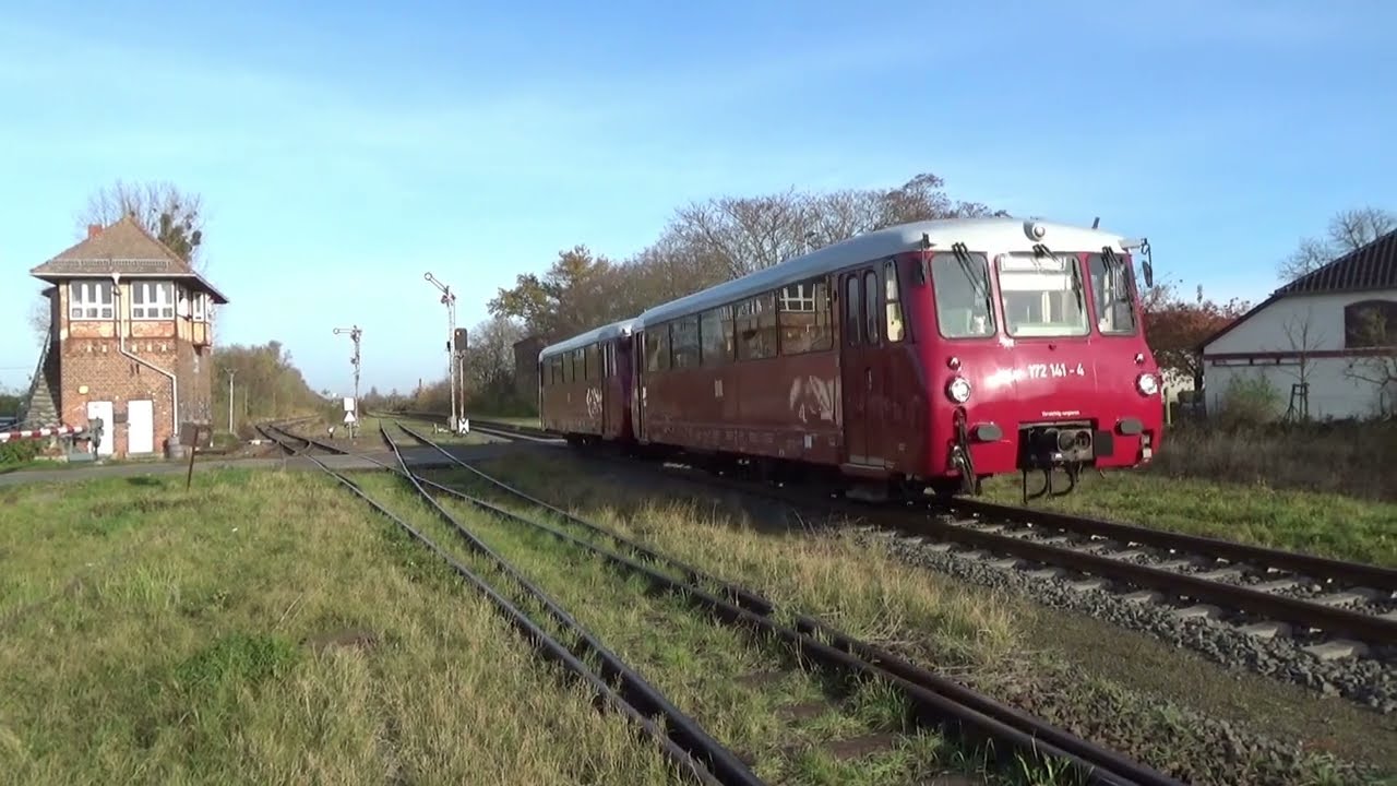 Mit der Ferkeltaxe durch den Salzlandkreis am 22.11.2023